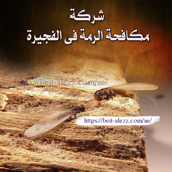 شركة مكافحة الرمة فى الفجيرة