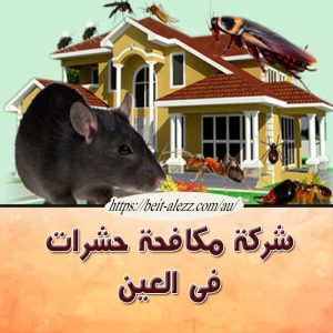شركة مكافحة حشرات فى العين شركة مكافحة حشرات فى العين