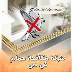 شركة مكافحة حمام في دبي شركة مكافحة حمام في دبي