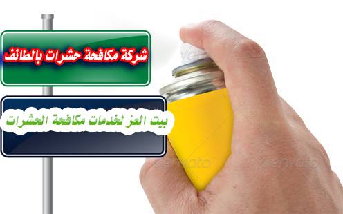 شركة مكافحة حشرات بالطائف